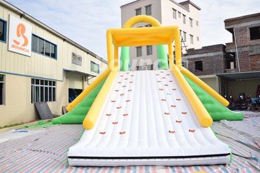 Customized Inflatable Water Toys, Inflatable Action Tower Wirh Swing